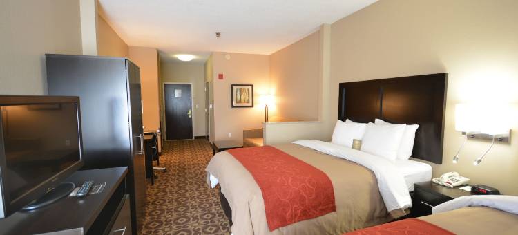 特鲁斯维尔I-59出口141号舒适套房酒店(Comfort Inn & Suites Trussville I-59 Exit 141)图片