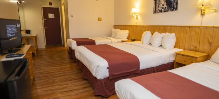 加拿大最佳价值河景酒店(Canadas Best Value Inn River View Hotel)图片