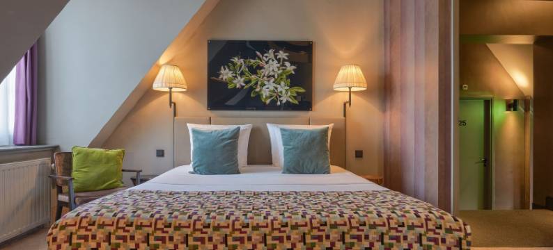 罗斯福精品酒店(Boutiquehotel The Roosevelt)图片