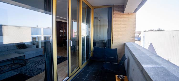 桑色散斯公寓(Apartments Zaanse Schans and Amsterdam)图片