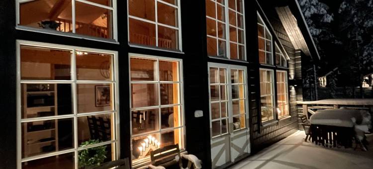 伊德雷西梅菲耶尔酒店(Idre Himmelfjäll)图片