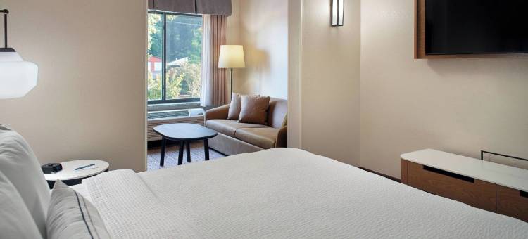 弗莱彻阿什维尔机场万豪万枫套房酒店(Fairfield Inn & Suites Asheville Airport/Fletcher)图片