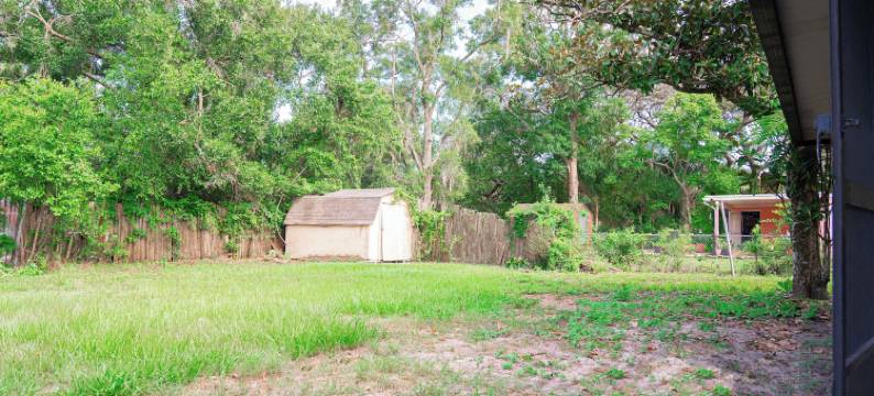 坦帕家庭之家(Family Home Tampa)图片