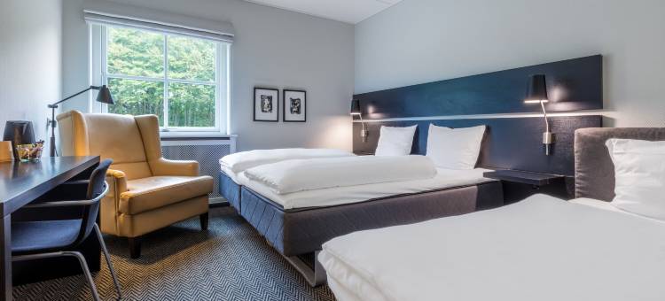 索勒索恩伙伴酒店(Thon Partner Hotel Sorø)图片
