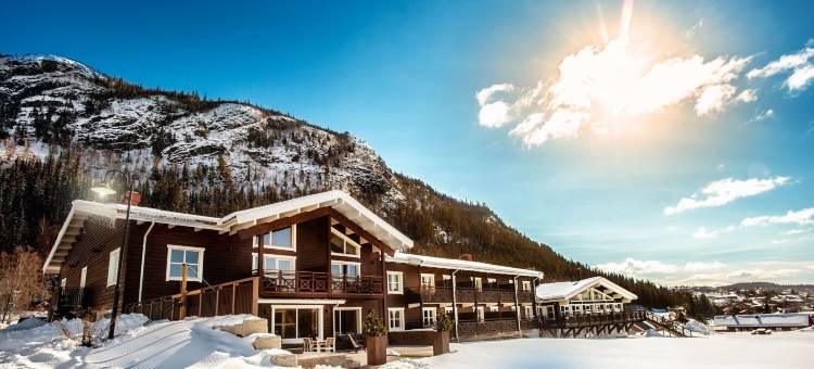 艾瑞克斯花园福尔酒店(Eriksgårdens Fjällhotell)图片