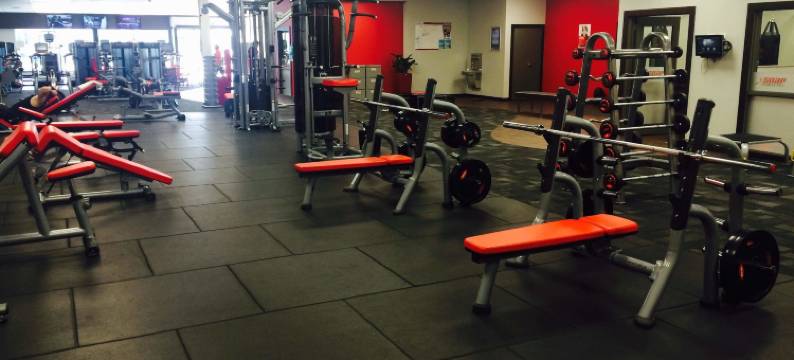 奥玛鲁美景汽车旅馆(Bella Vista Motel Oamaru)图片