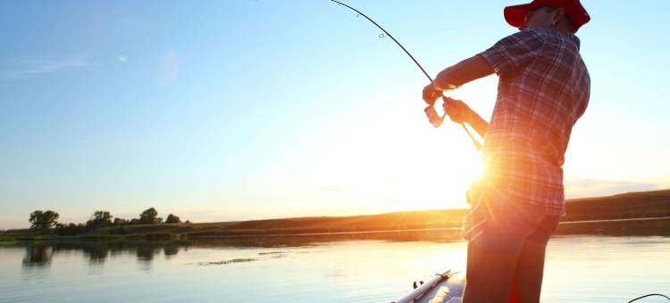 海狸水坝市酒店(Beaver DAM Inn)图片