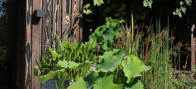 波利斯的乐园(Clos des Poulies)图片