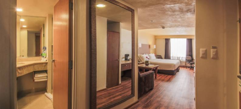 奥里扎巴假日酒店(Holiday Inn ORIZABA by IHG)图片