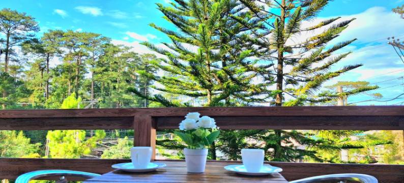 普雷斯蒂奇假日公寓 - 涵碧庄园(Prestige Vacation Apartments - Hanbi Mansions)图片