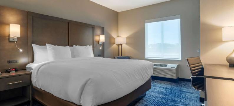 舒适酒店及套房巴尔奇斯普林斯 - 达拉斯东南(Comfort Inn & Suites Balch Springs - SE Dallas)图片