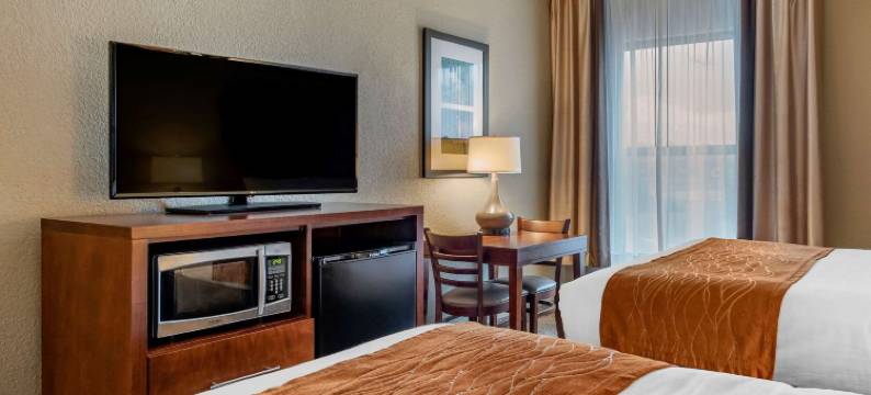 舒适酒店麦迪逊 靠近克利夫提瀑布(Comfort Inn)图片