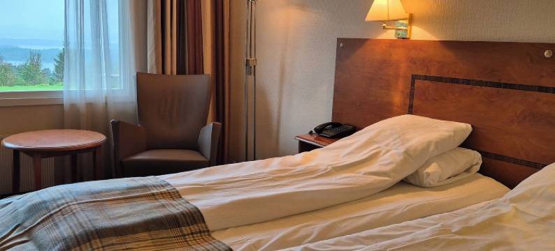 西挪威酒店(Westland Hotel)图片