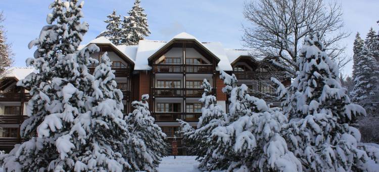 布劳恩拉格哈皮玛格度假村(Hapimag Ferienwohnungen Braunlage)图片