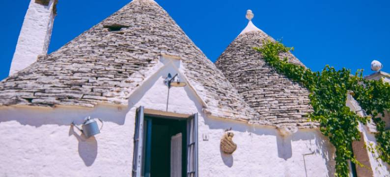 马瑟里亚罗莎特鲁利里雷酒店(Masseria Rosa Trulli Relais)图片