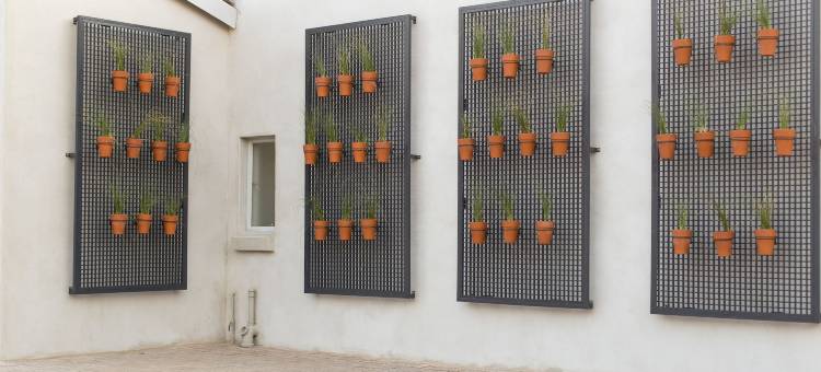 3 华丽套房酒店(3 Lux Suites)图片