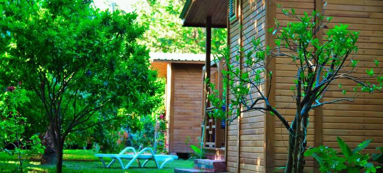 斯姆格旅馆(Simge Pension)图片