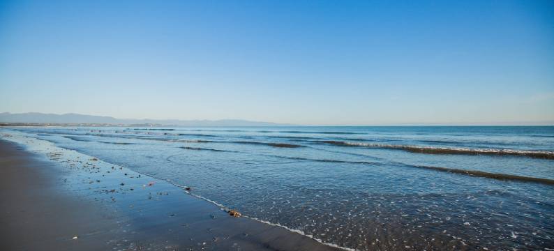 阿普尔比兔岛旅馆(Appleby House & Rabbit Island Huts)图片