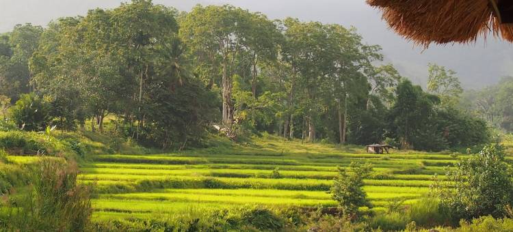 柯利姆途火山湖生态酒店(Kelimutu Crater Lakes Ecolodge)图片
