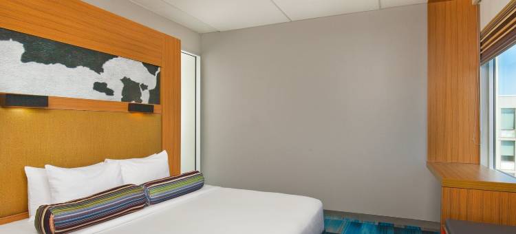 博灵布鲁克雅乐轩酒店(Aloft Bolingbrook)图片