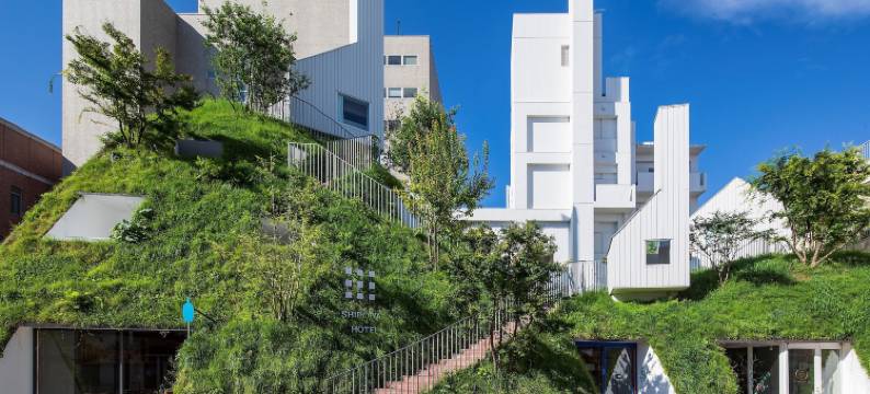 白井屋酒店(Shiroiya Hotel)图片