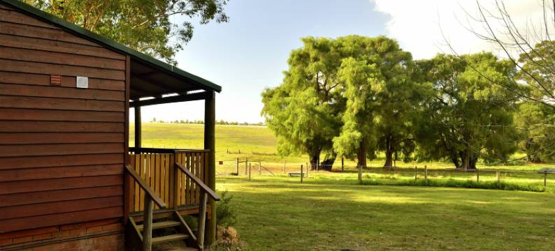 钻石林场农家乐(Diamond Forest Farm Stay)图片