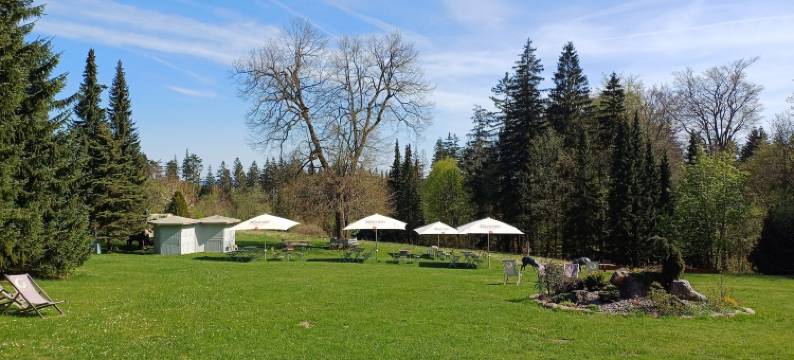 加贝尔巴赫伯格 Spa 酒店(Berg & Spa Hotel Gabelbach)图片