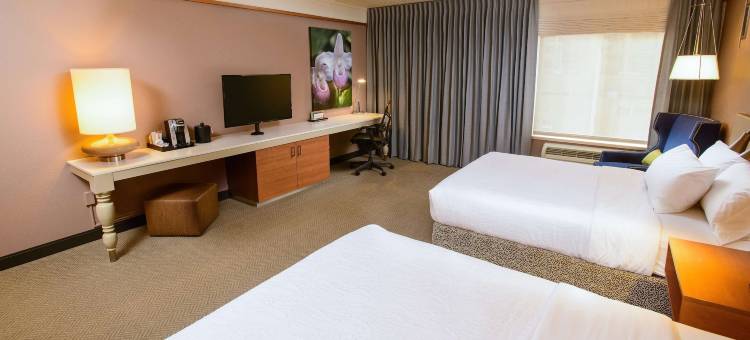 罗切斯特市区希尔顿花园酒店(Hilton Garden Inn Rochester Downtown)图片