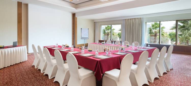 卡莉迪亚皇宫罗塔纳瑞汉酒店(Khalidiya Palace Rayhaan by Rotana)图片