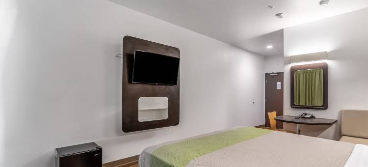 内华达拉斯维加斯赛车场(Las Vegas, NV - Motor Speedway)图片