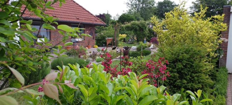 艾乌尔内斯特旅馆(Eulennest)图片