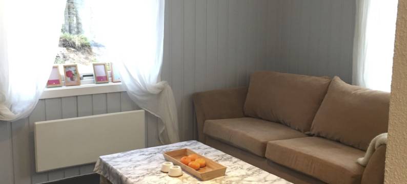 海姆瑟达尔舒适村舍酒店(Koselig Hytte I Hemsedal)图片