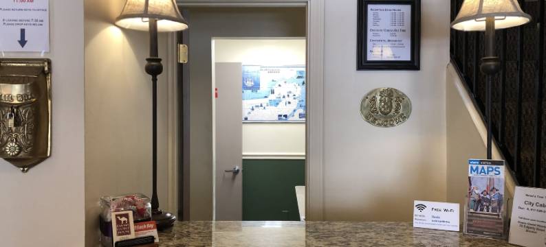 绿洲宾馆(Oasis Guest House)图片