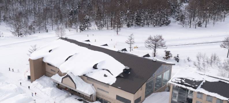 志贺高原王子大酒店(Shigakogen Prince Hotel)图片