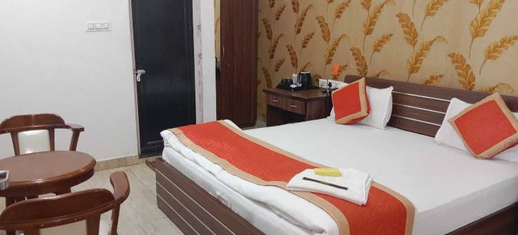 夏利玛宫酒店(Hotel Shalimar Palace)图片