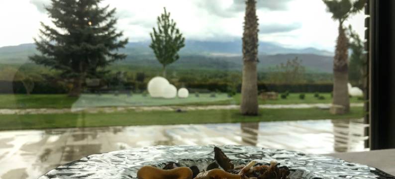 弗西纳迪武尔卡诺酒店(La Fucina di Vulcano)图片