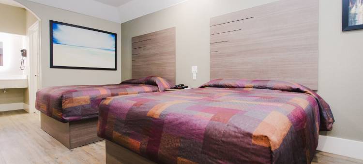 环城公路8号和西景宫殿酒店(Palace Inn Beltway 8 & Westview)图片