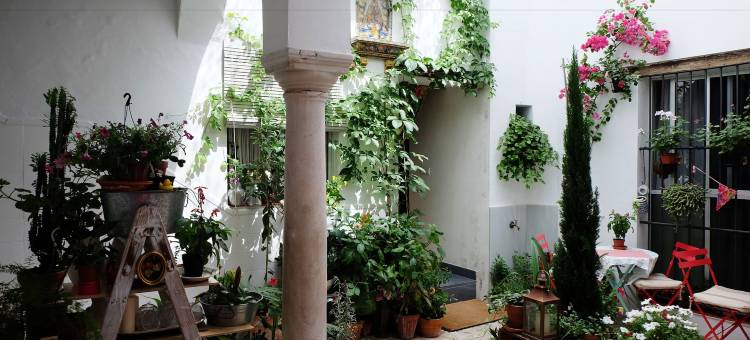 圣玛丽亚赫斯派德斯酒店(Casa de Huéspedes Santa Maria)图片