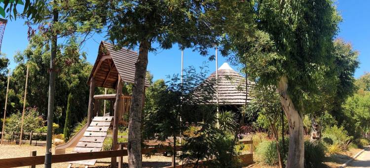 拉皮德露营酒店(Camping la Pinède)图片