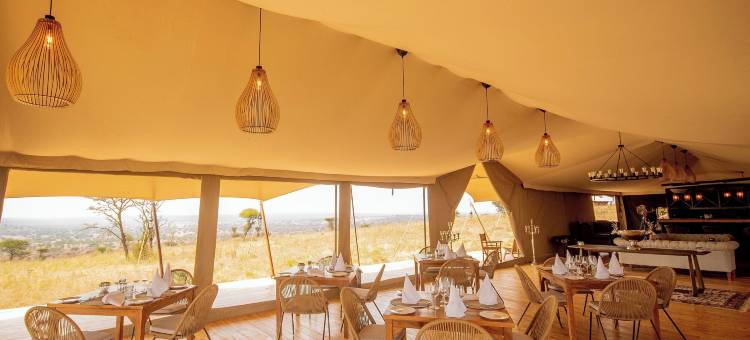 塞伦盖蒂豪华度假村(Serengeti Luxury Retreat)图片