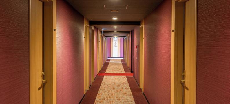 上野公园光芒酒店(CANDEO HOTELS)(Candeo Hotels Ueno Park)图片