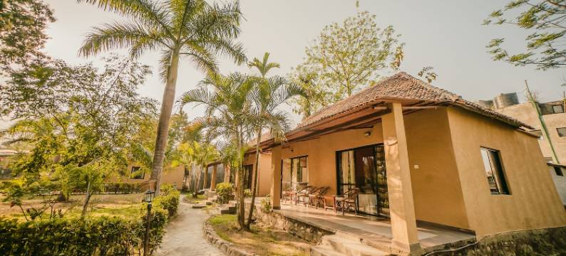 走进自然生态度假村(Into the Wild Eco Resort)图片