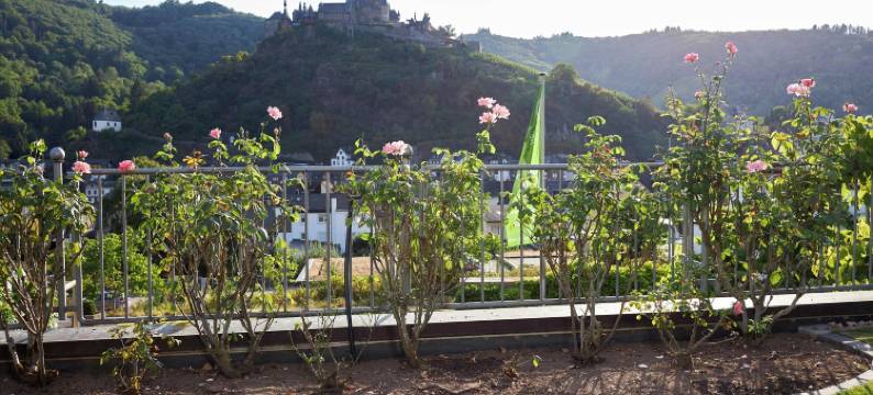 罗森湖格尔氛围酒店(Flair Hotel am Rosenhügel - Garni)图片