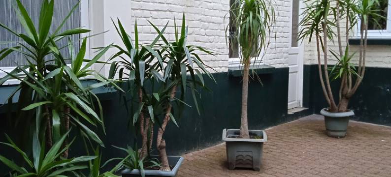 梅特尔波勒酒店(Metropol Hotel)图片