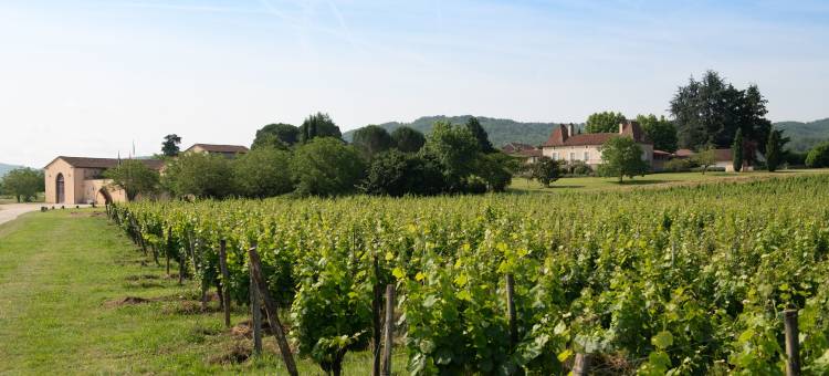 高图尔城堡(Château Gautoul)图片