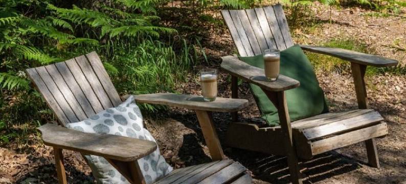 比克赫伊曾庄园(Buitenplaats Beekhuizen)图片