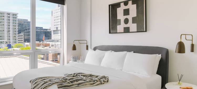 Sonder the Opal图片