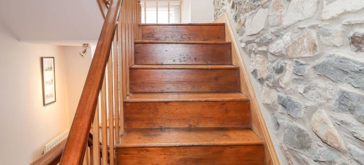 卡诺法(Carnorfa)图片