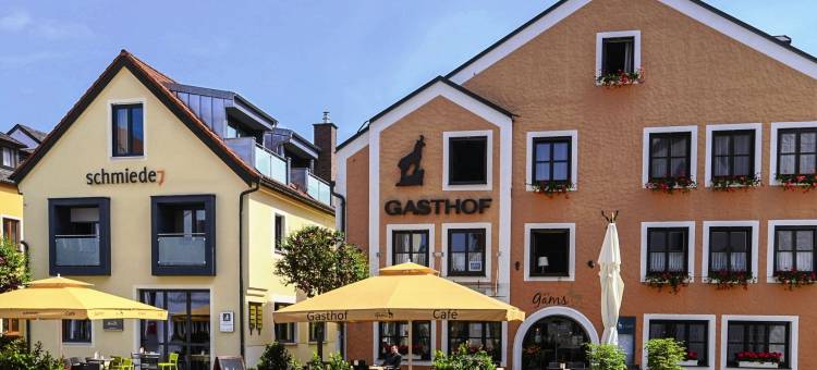 章鱼酒店(Hotel Die Gams)图片