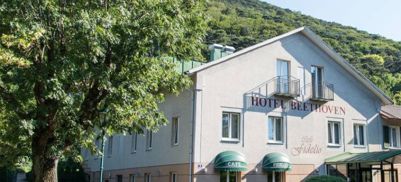 贝多芬酒店(Hotel Beethoven)图片